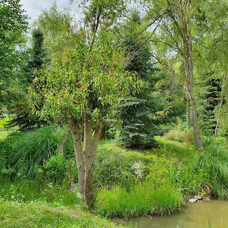 Kamilla Kulcsoshaz Villa Sub Cetate Esterno foto