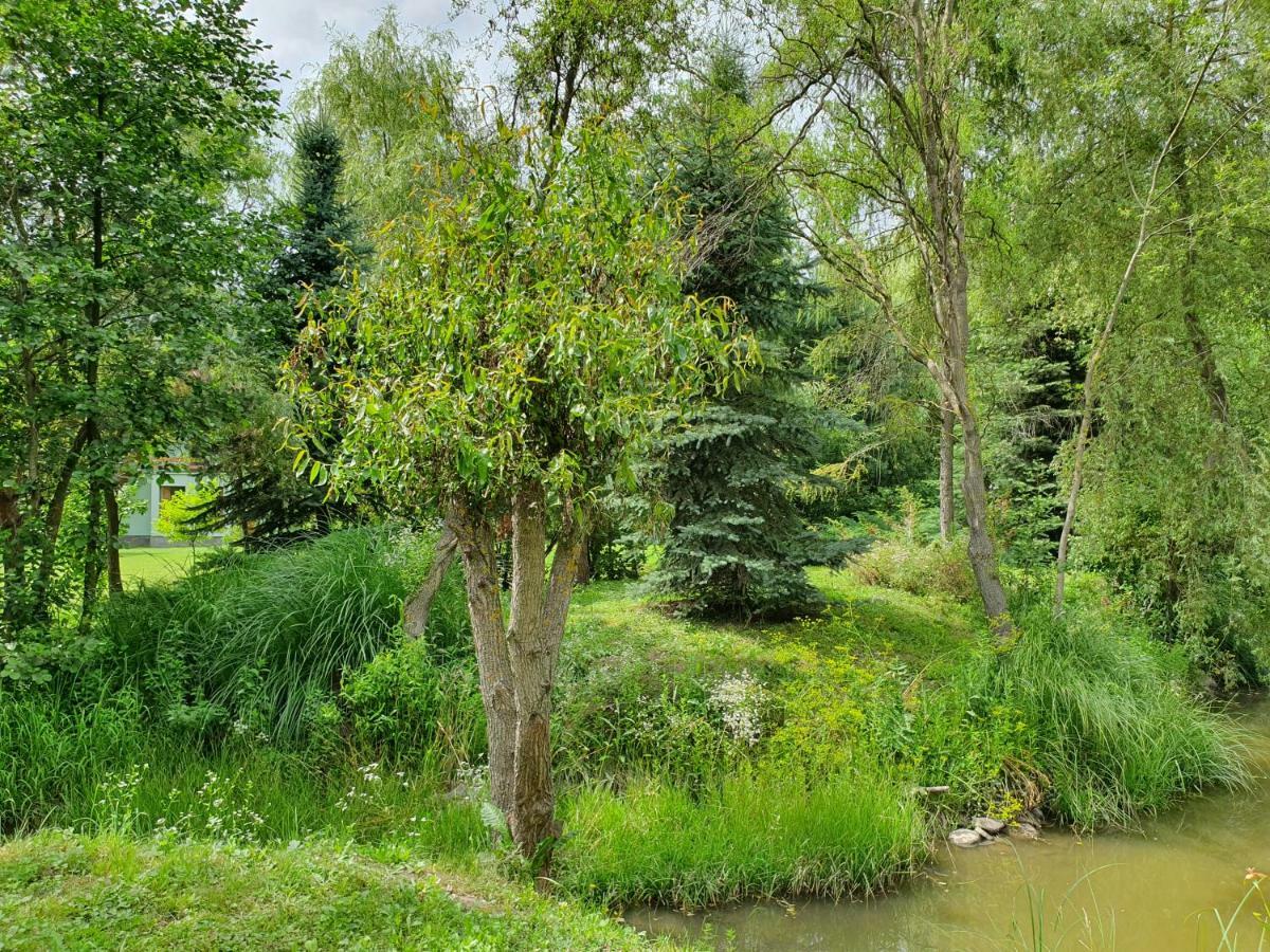 Kamilla Kulcsoshaz Villa Sub Cetate Esterno foto