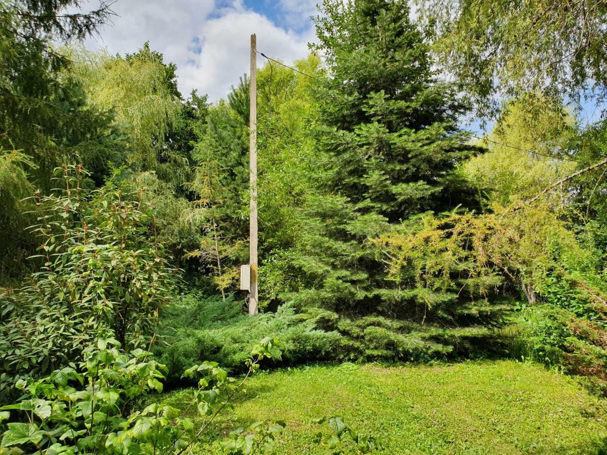 Kamilla Kulcsoshaz Villa Sub Cetate Esterno foto